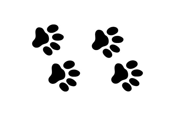 Cat Foot Prints Embroidery Design Review