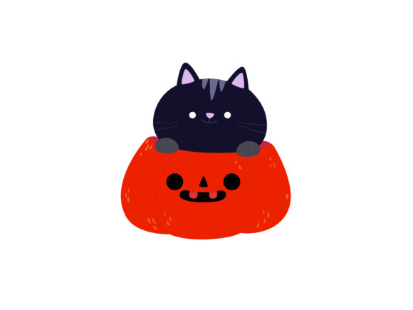Halloween Illustration Cat Pumpkin Review