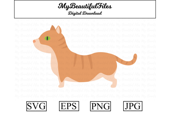 Munchkin Cat Clipart Illustration Review