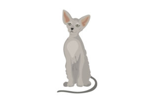 Peterbald Cat Embroidery Design Review