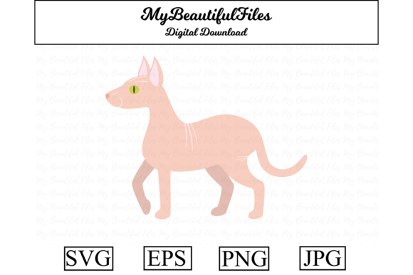 Sphinx Cat Clipart Illustration Review