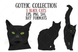 Three Black Cats Embroidery Design Review