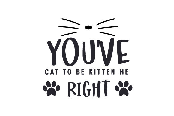 You've Cat to Be Kitten Me Right Embroidery Review